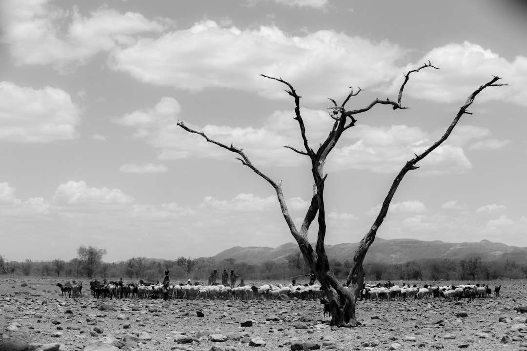 Photo Biologiczne anomalie przyrody