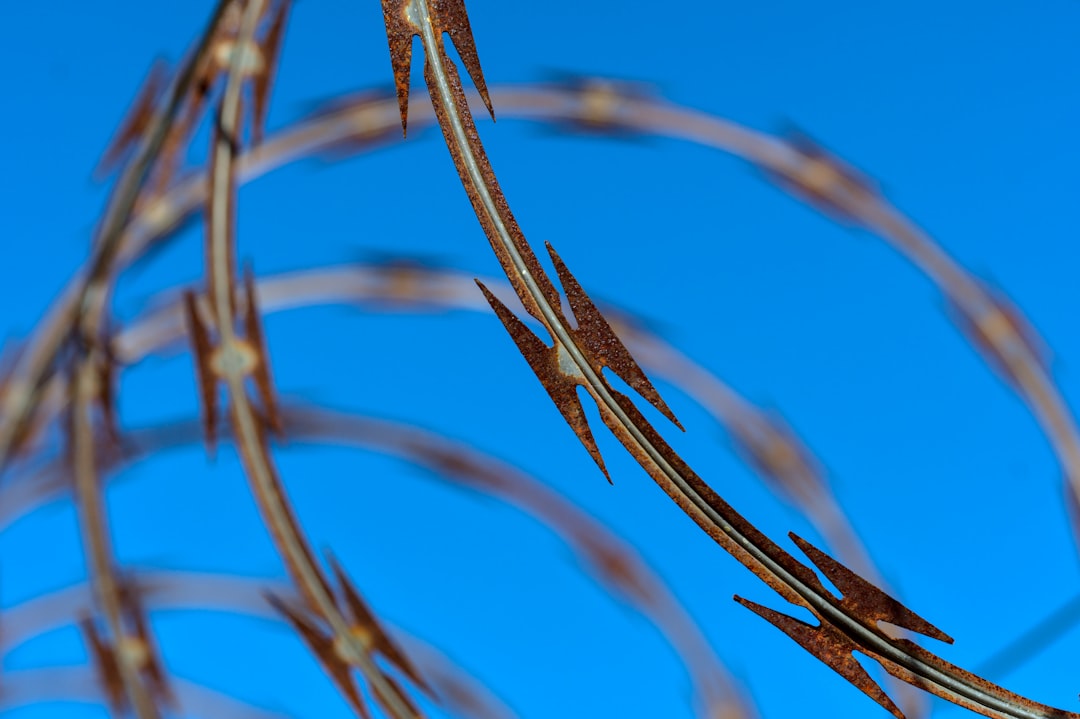 Photo security systems